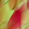 Digital 05