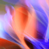 Digital 08