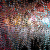 Digital 19