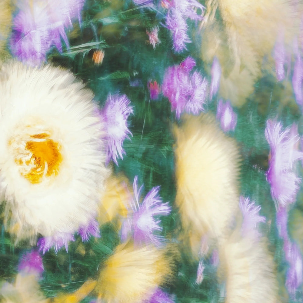 Introducing Darkroom's newest artwork: A revolution in decor