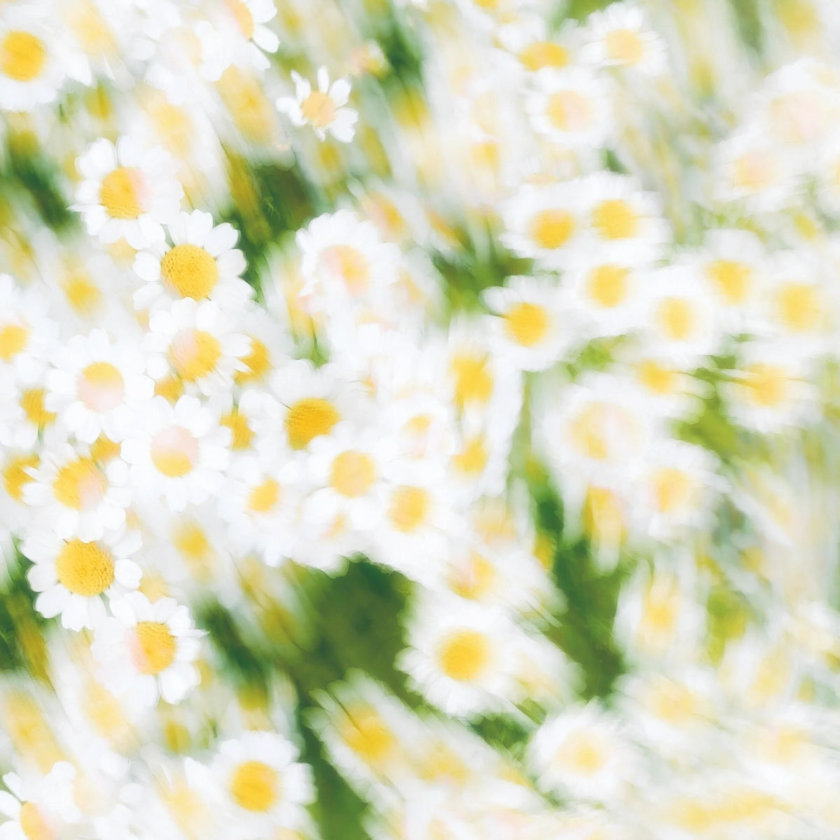 How to choose the perfect artwork with Darkroom: Expert tips