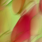 Digital 05