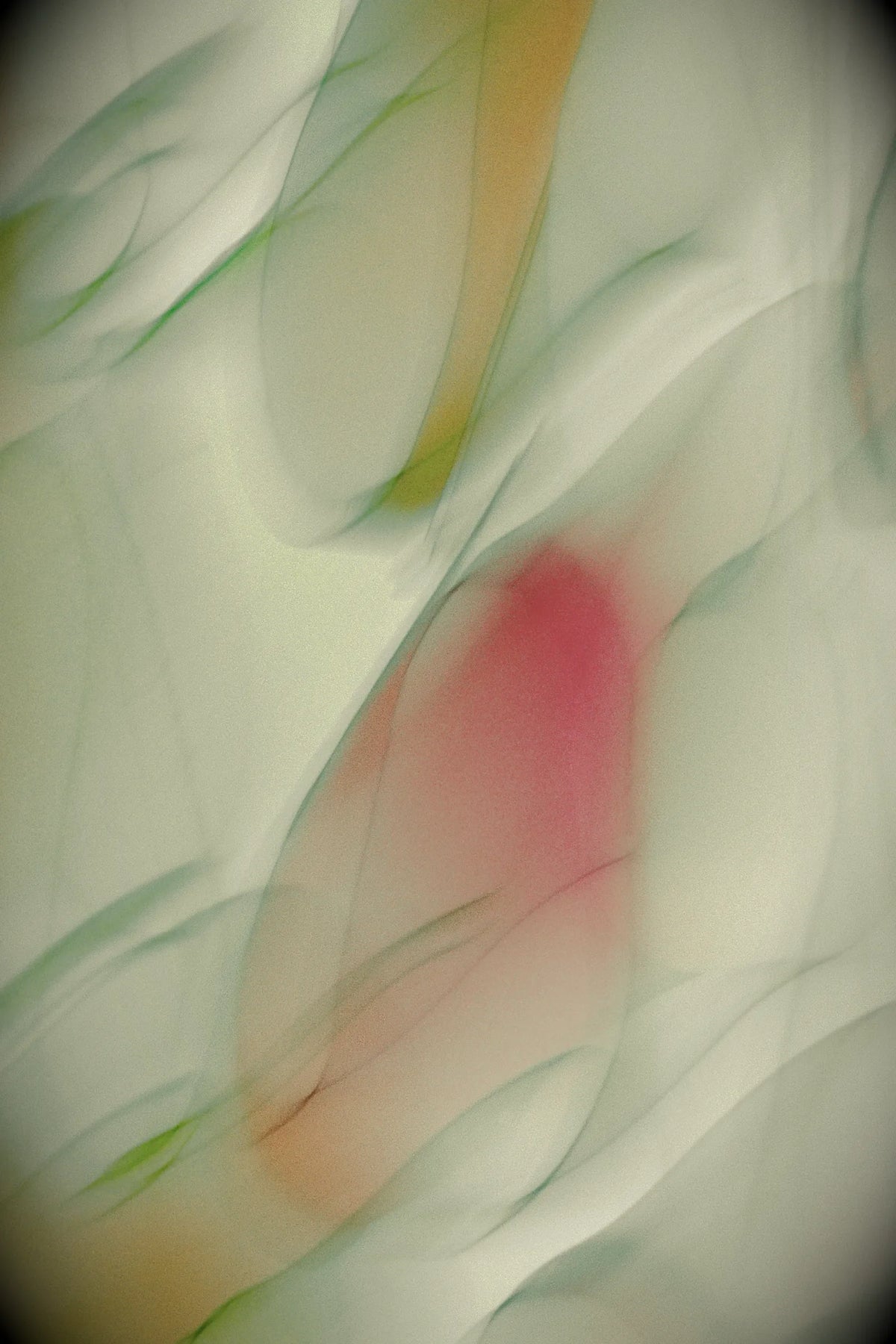 Digital 05