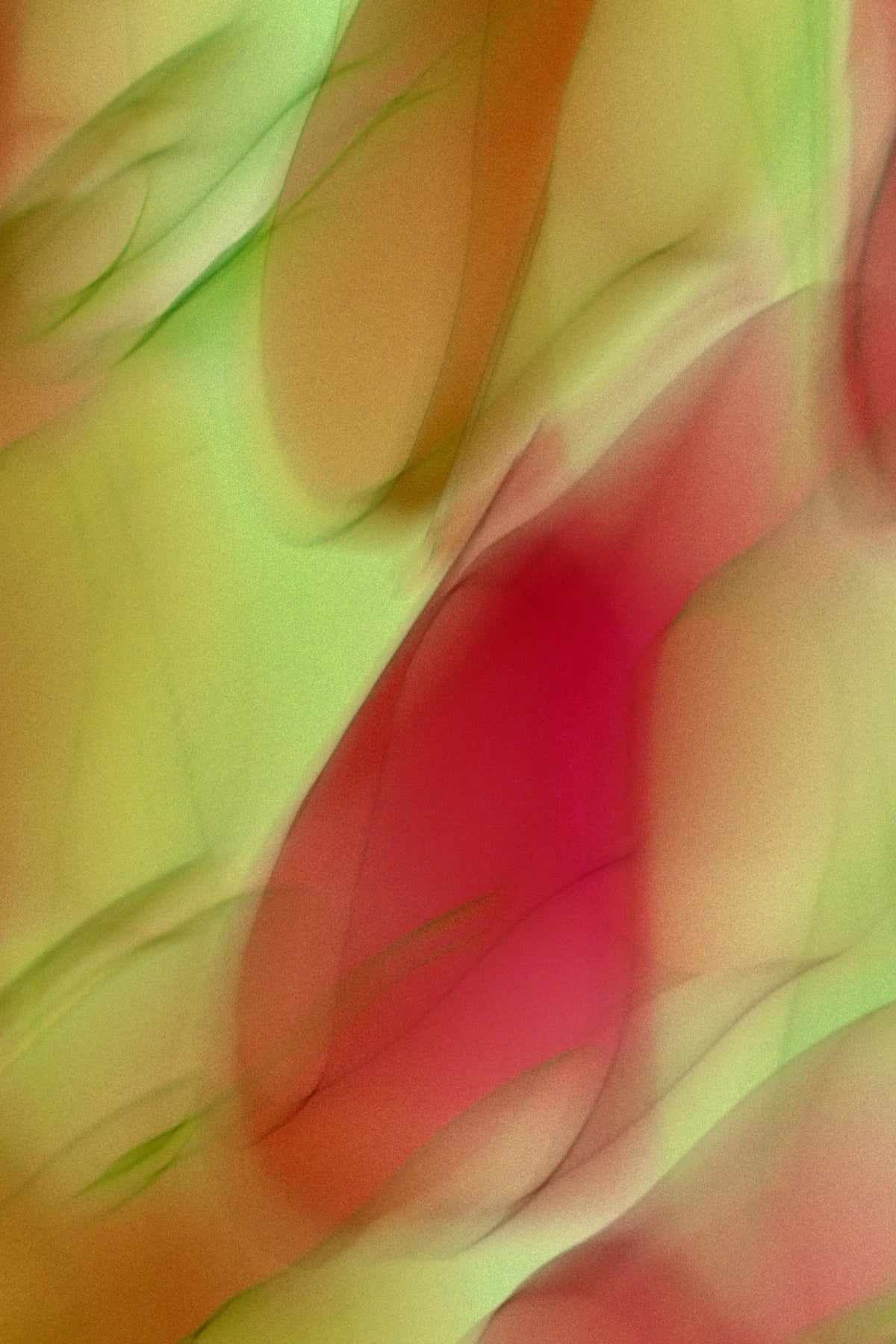 Digital 05