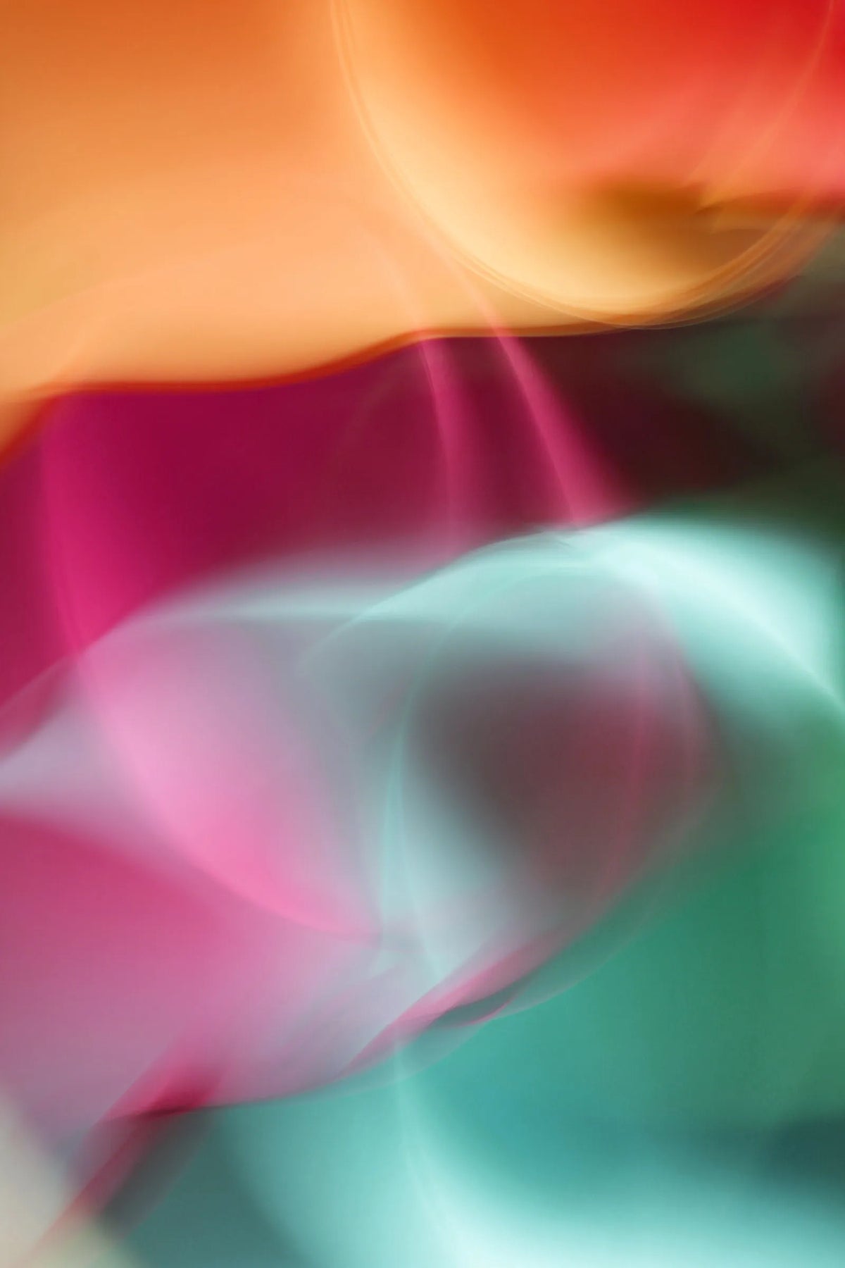 Digital 06