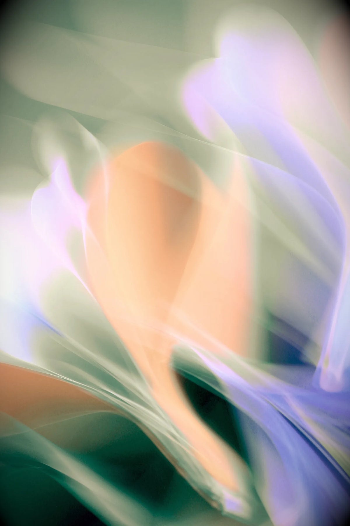 Digital 08
