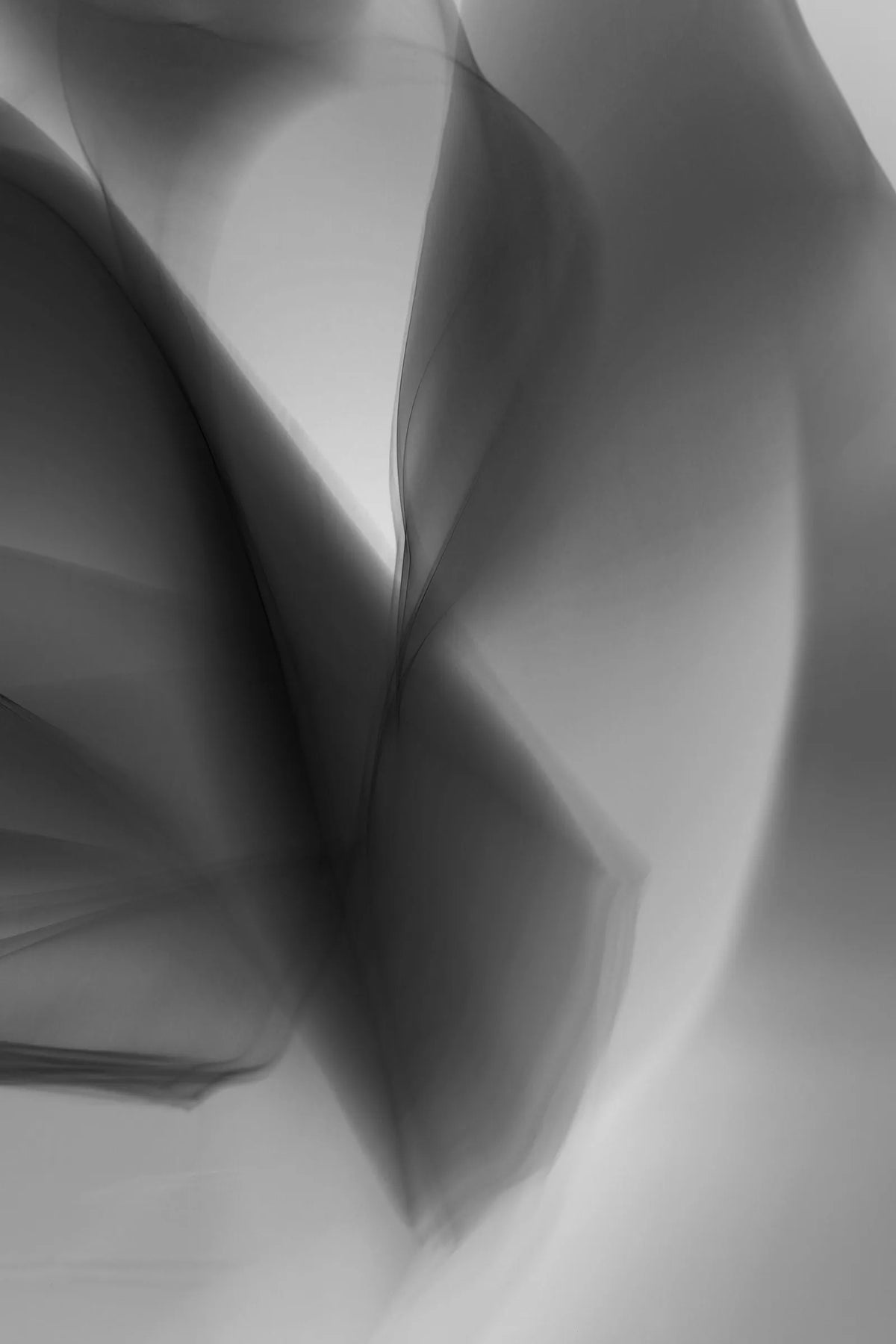 Digital 10