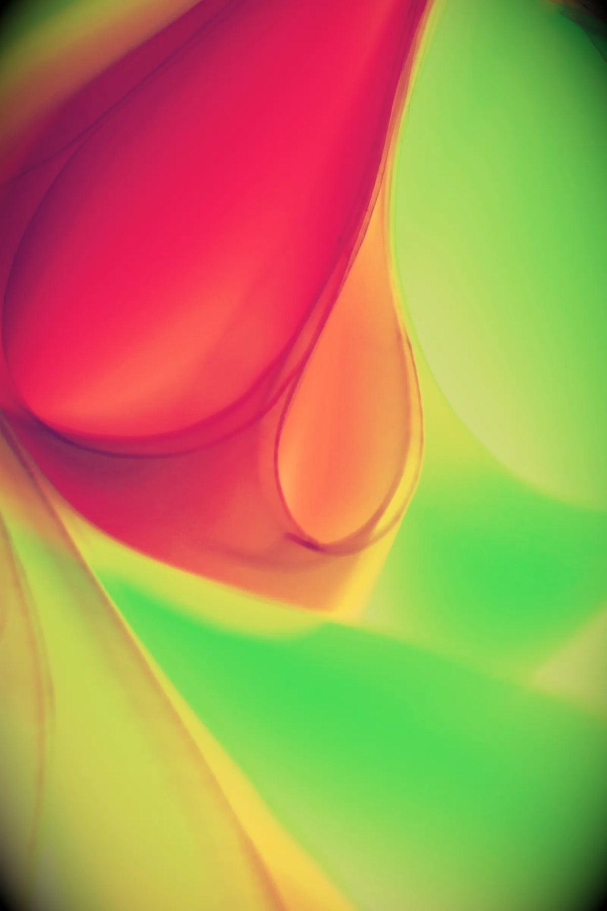 Digital 11