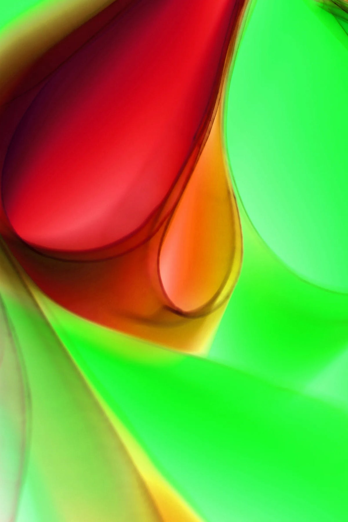 Digital 11
