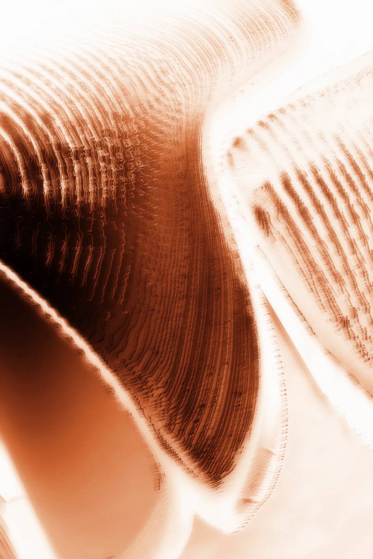 Digital 14
