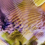 Digital 16