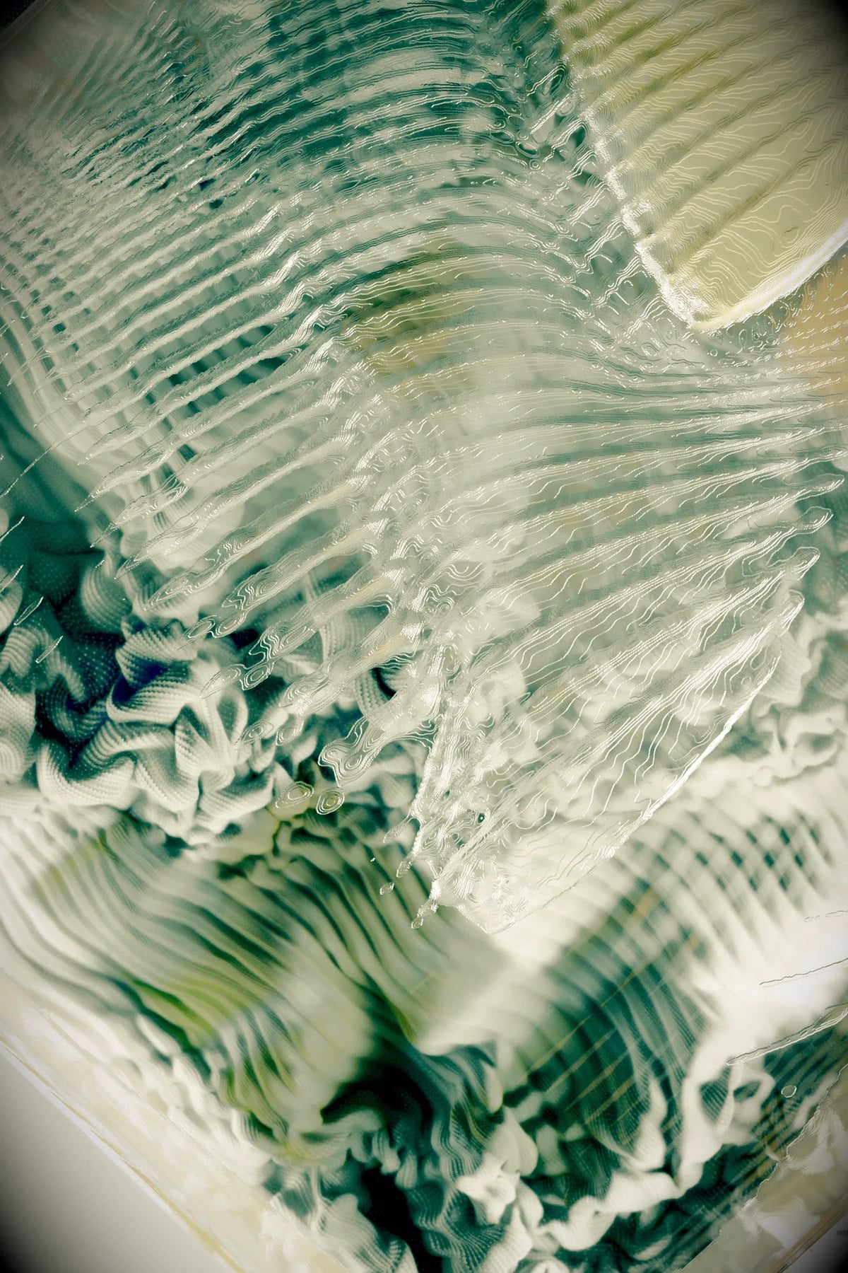 Digital 16