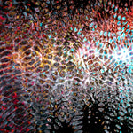 Digital 19
