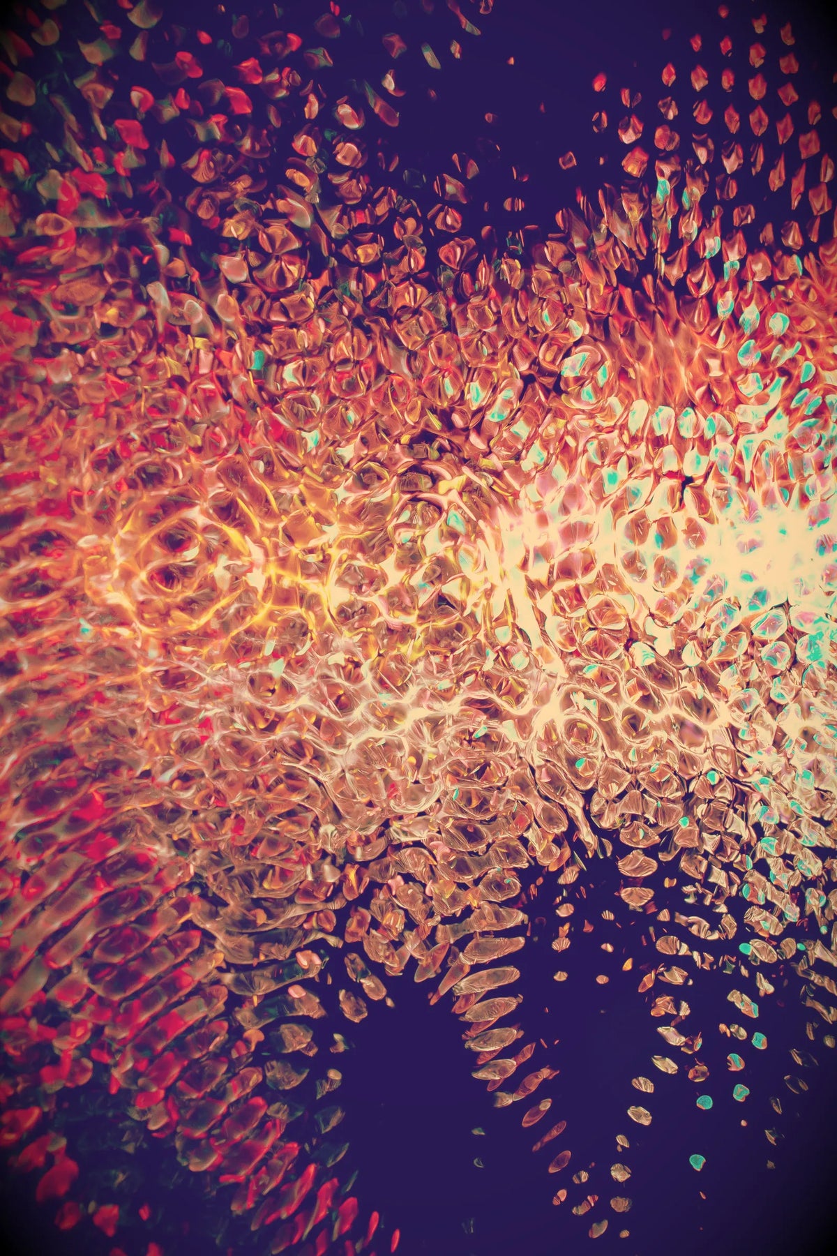 Digital 19