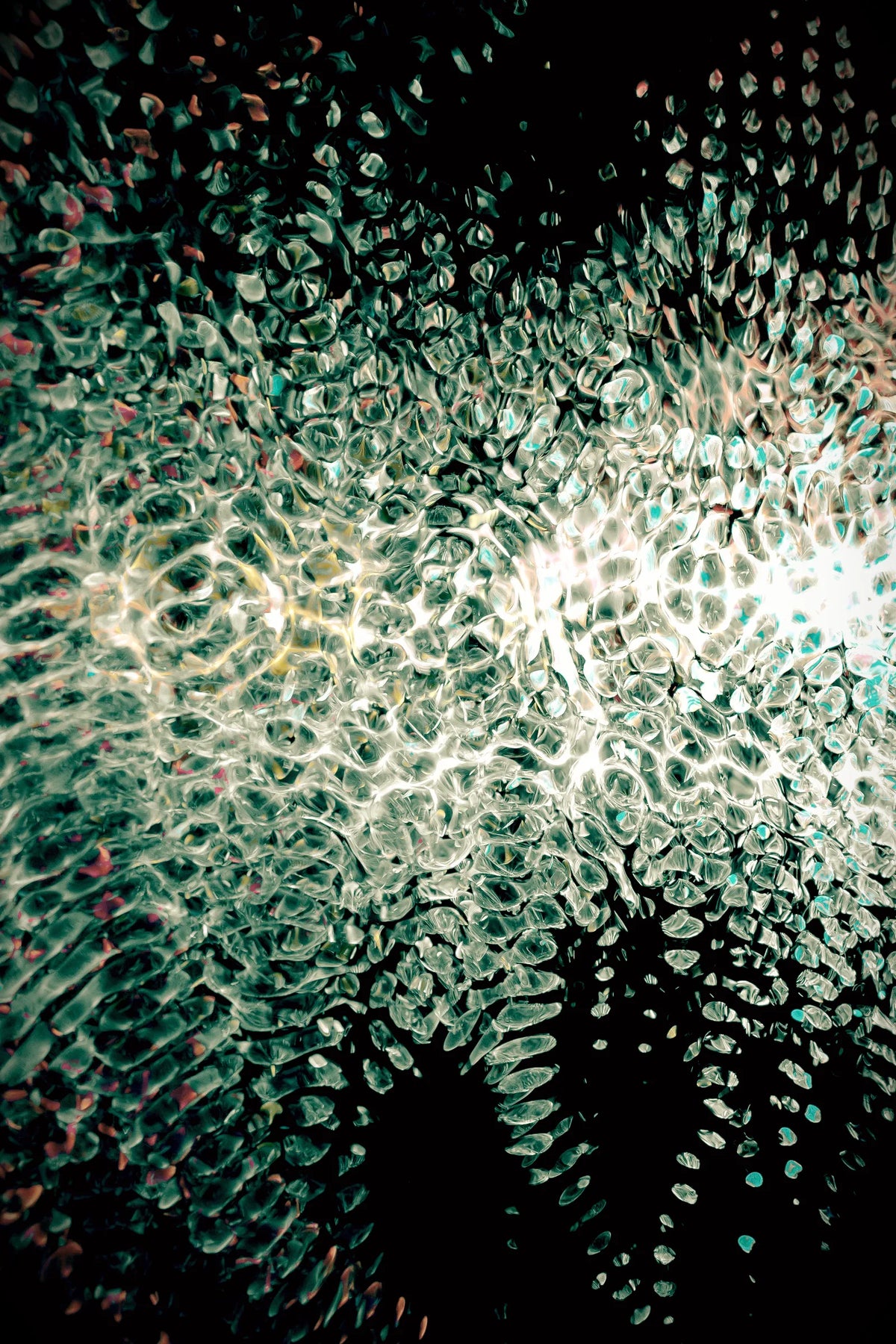Digital 19