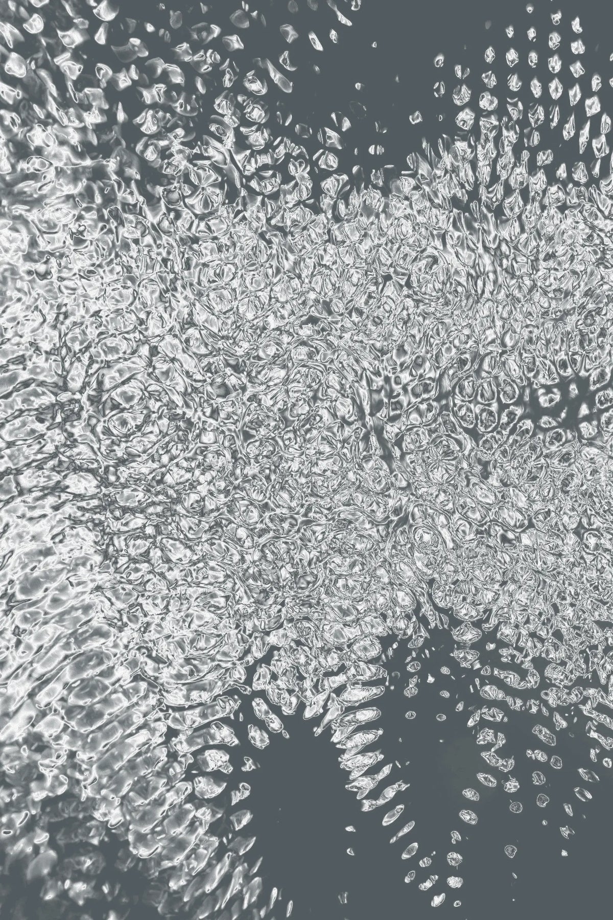 Digital 19