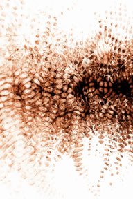 Thermal 1 / A6 (105 x 148 mm / 4.1 x 5.8 in) / Unframed