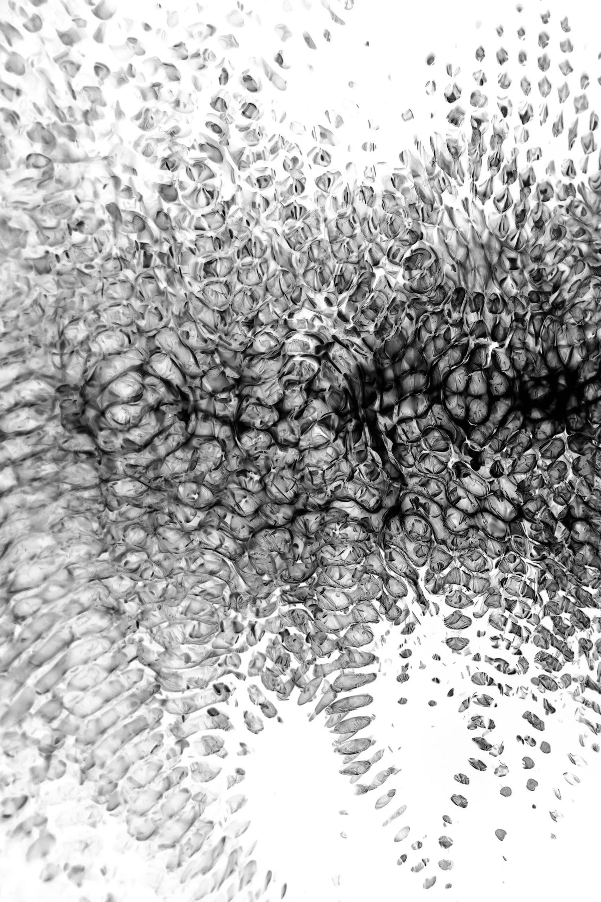 Digital 19