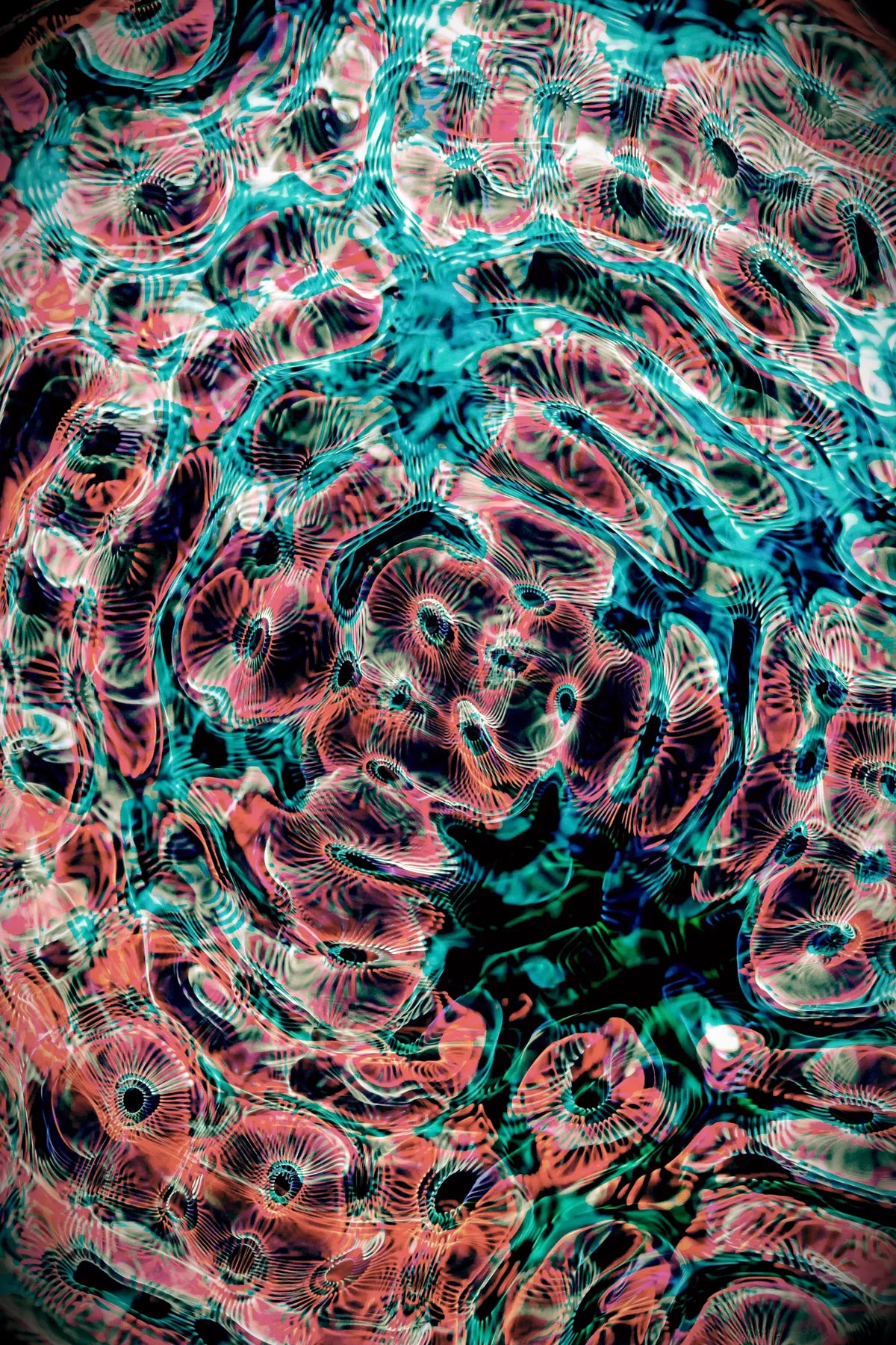 Digital 20