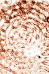 Thermal 1 / A6 (105 x 148 mm / 4.1 x 5.8 in) / Ohne Rahmen