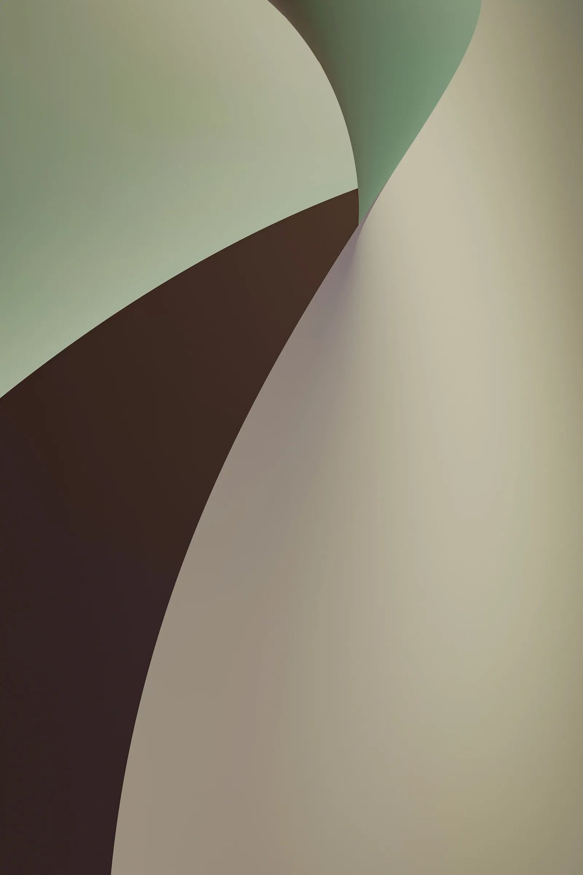 Digital 31