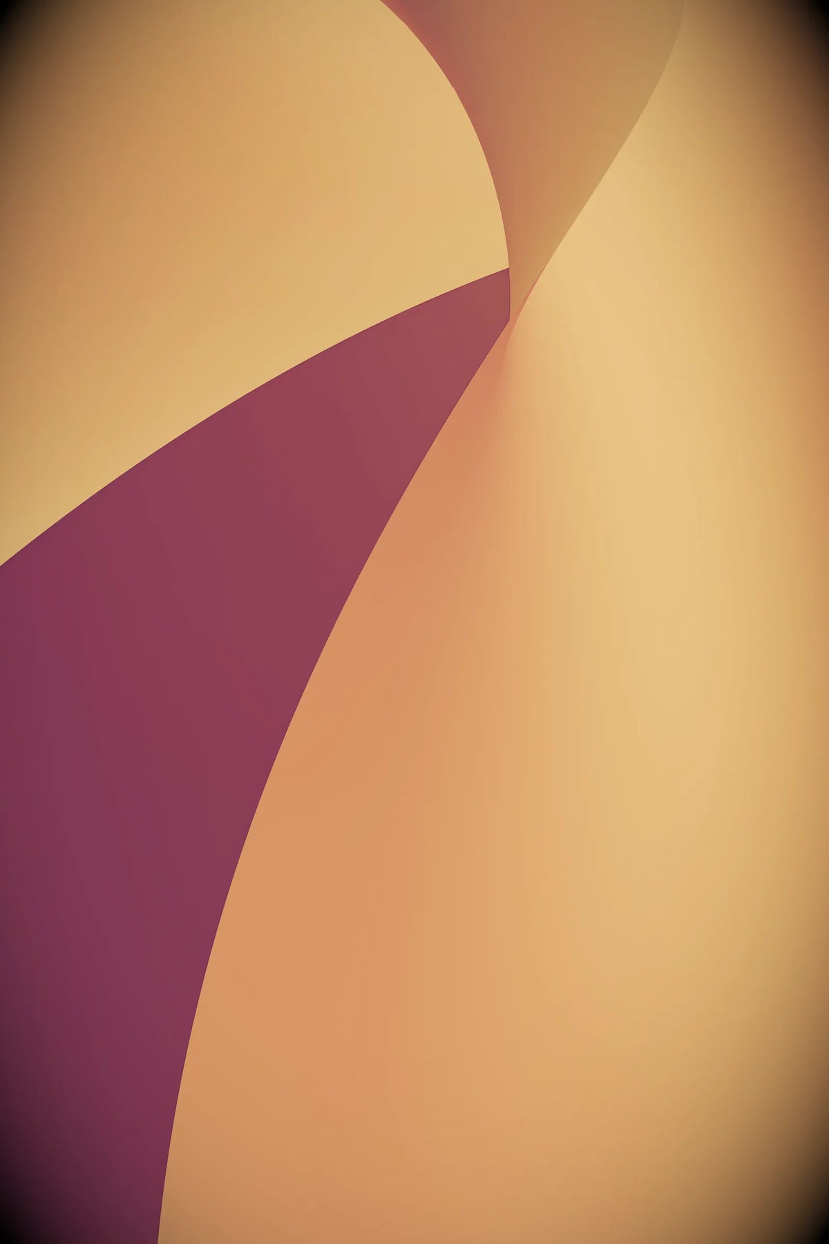 Digital 31