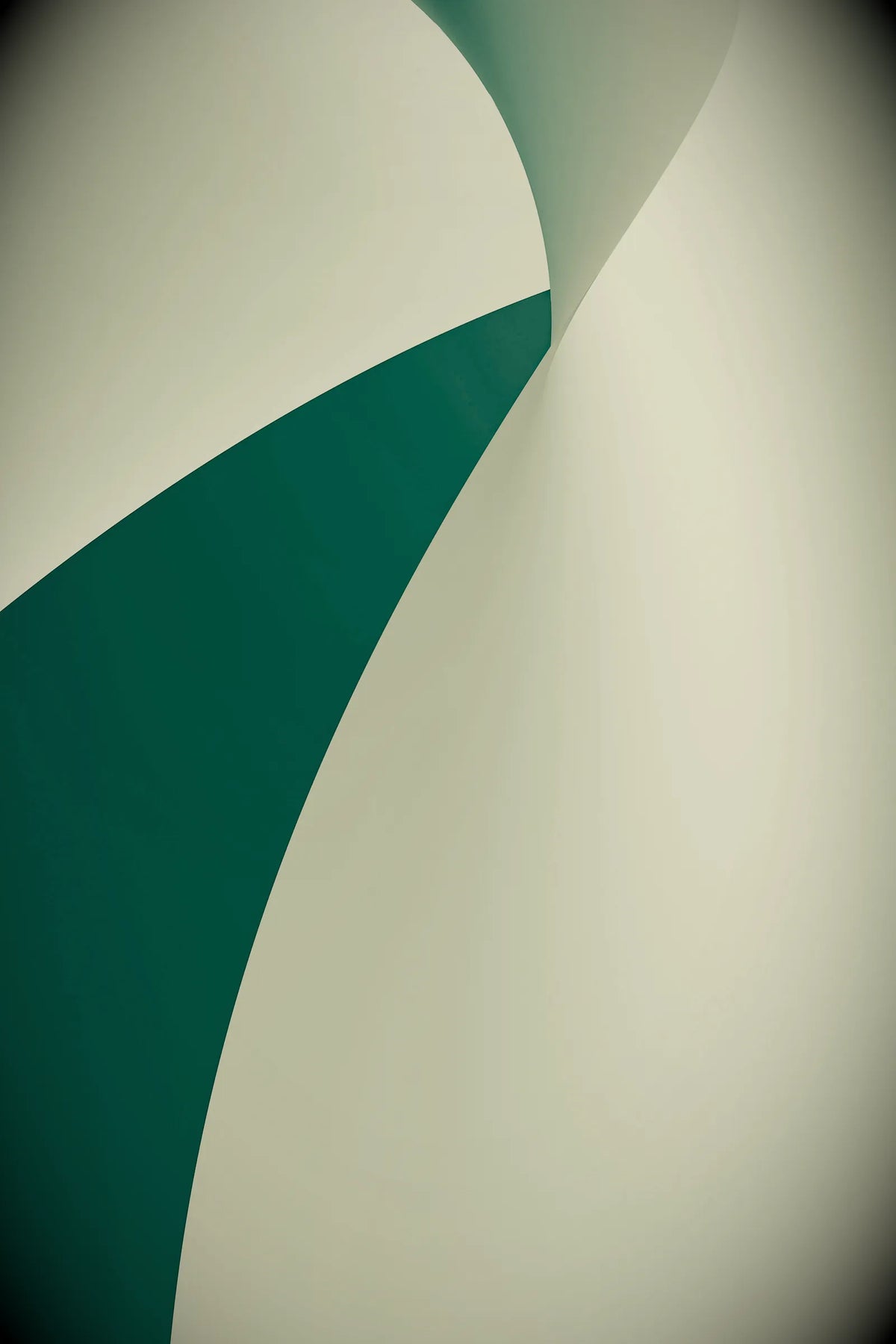 Digital 31