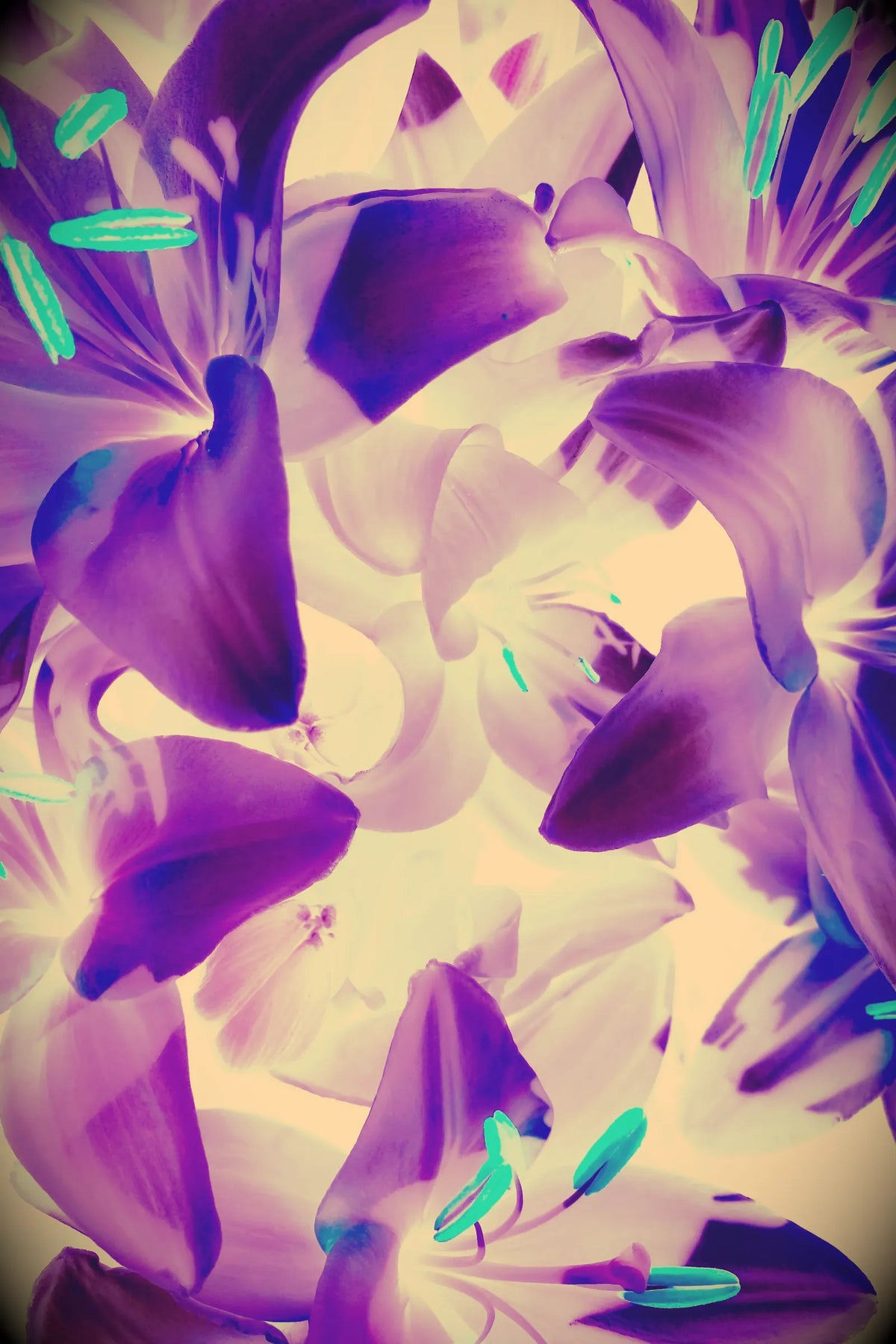 Fotografía 10