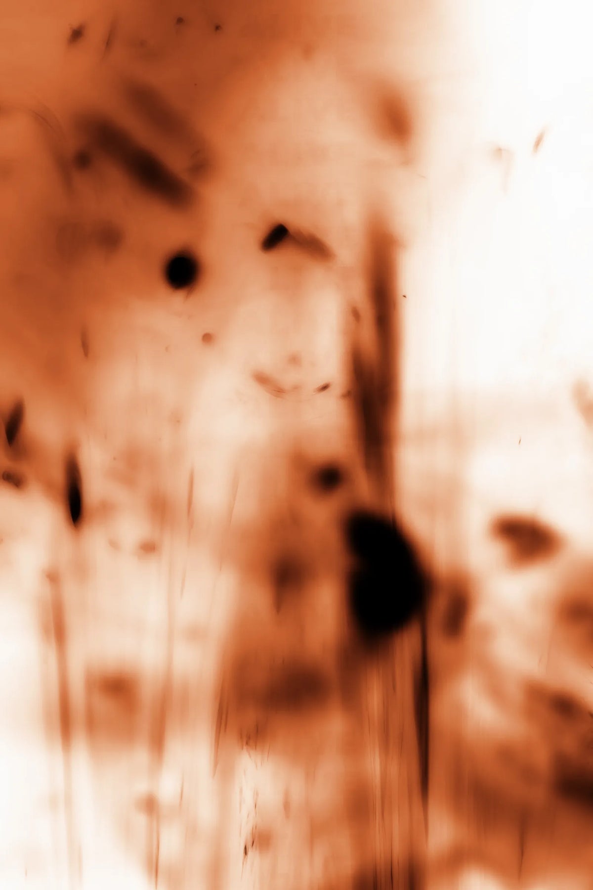 Photography 14