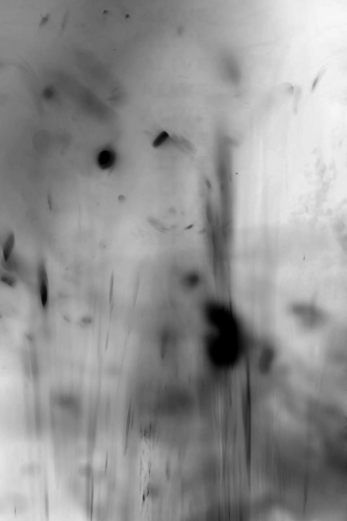 Photography 14