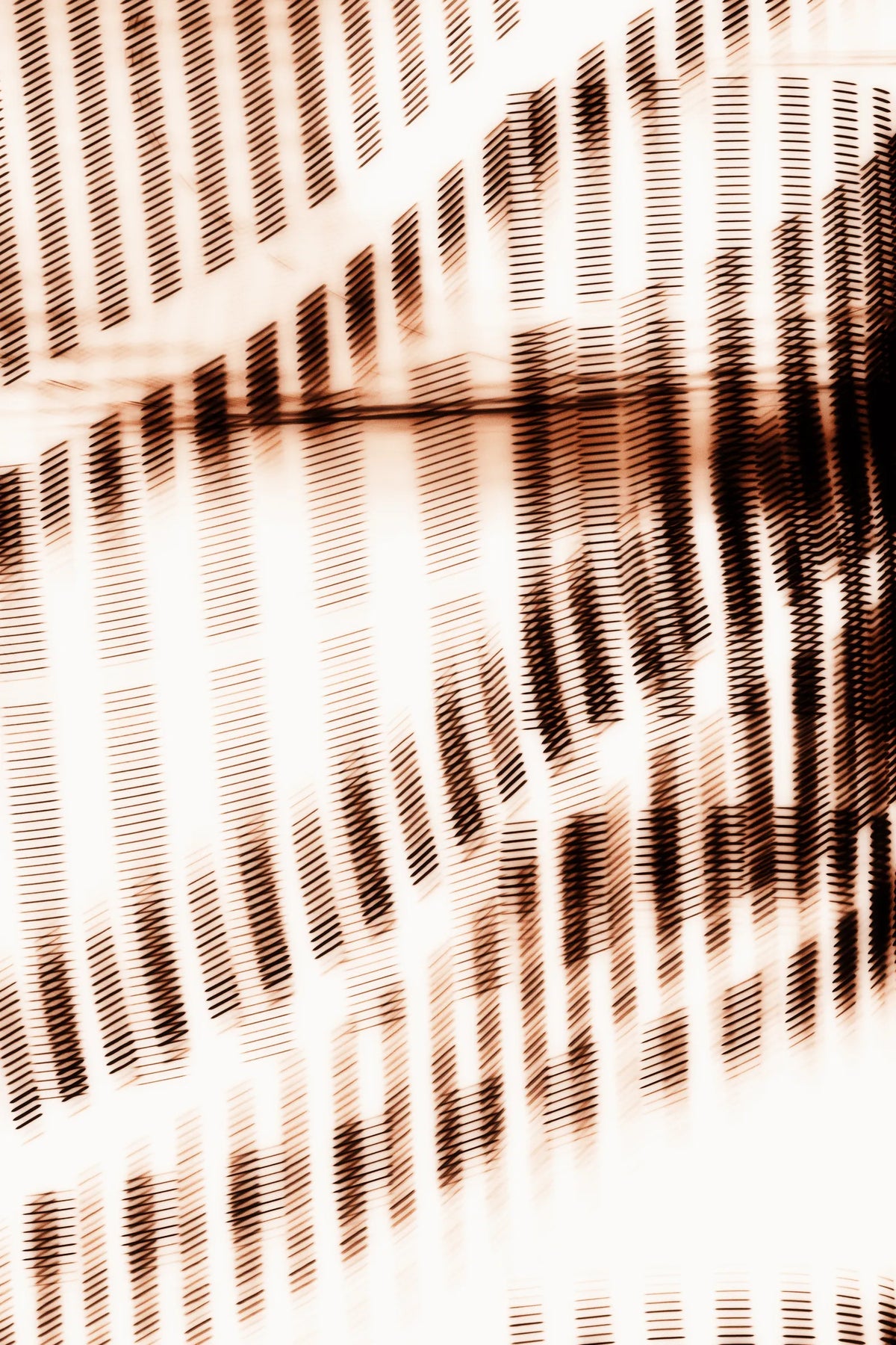 Photography 22