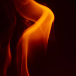 Photography 24