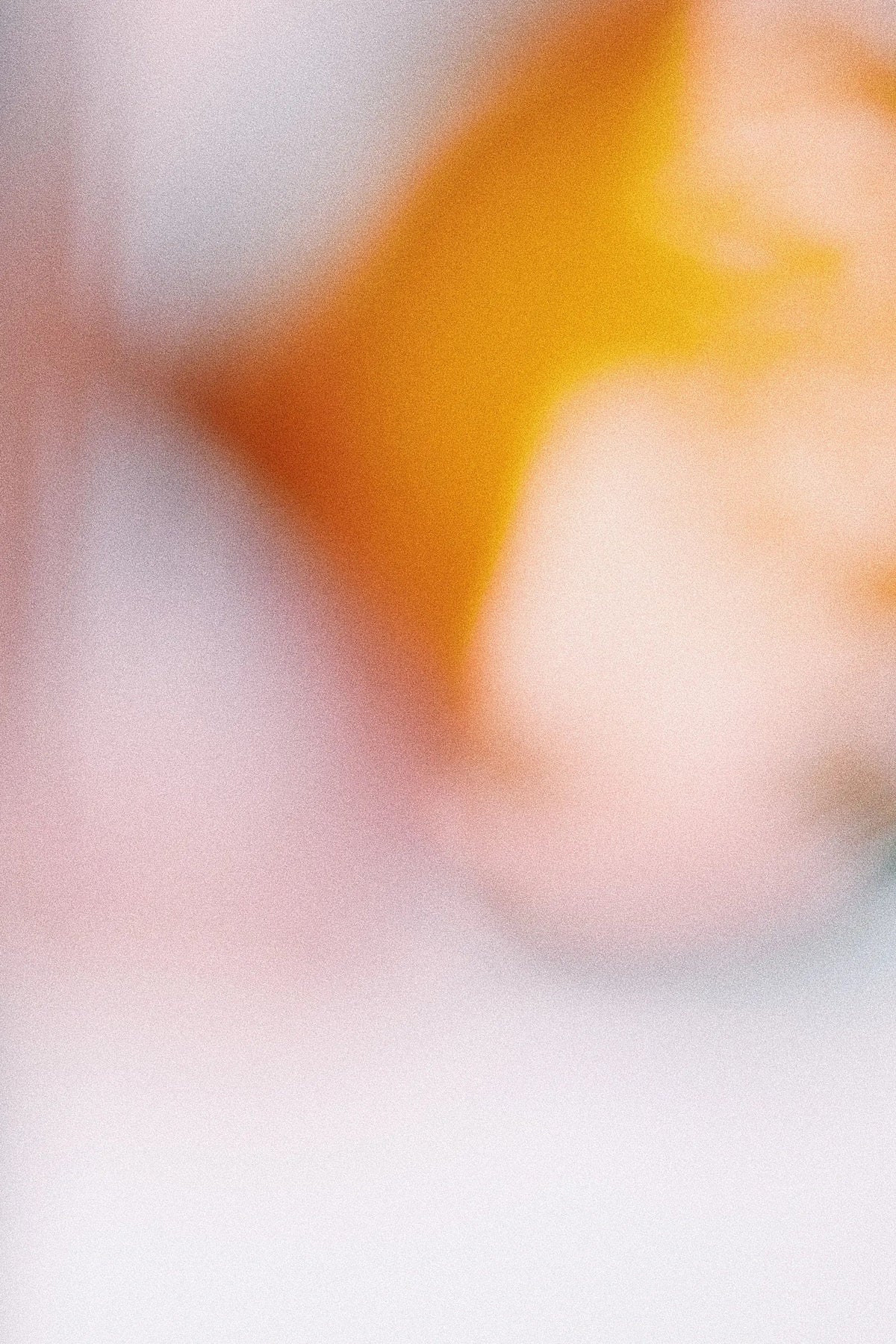 Photography 28