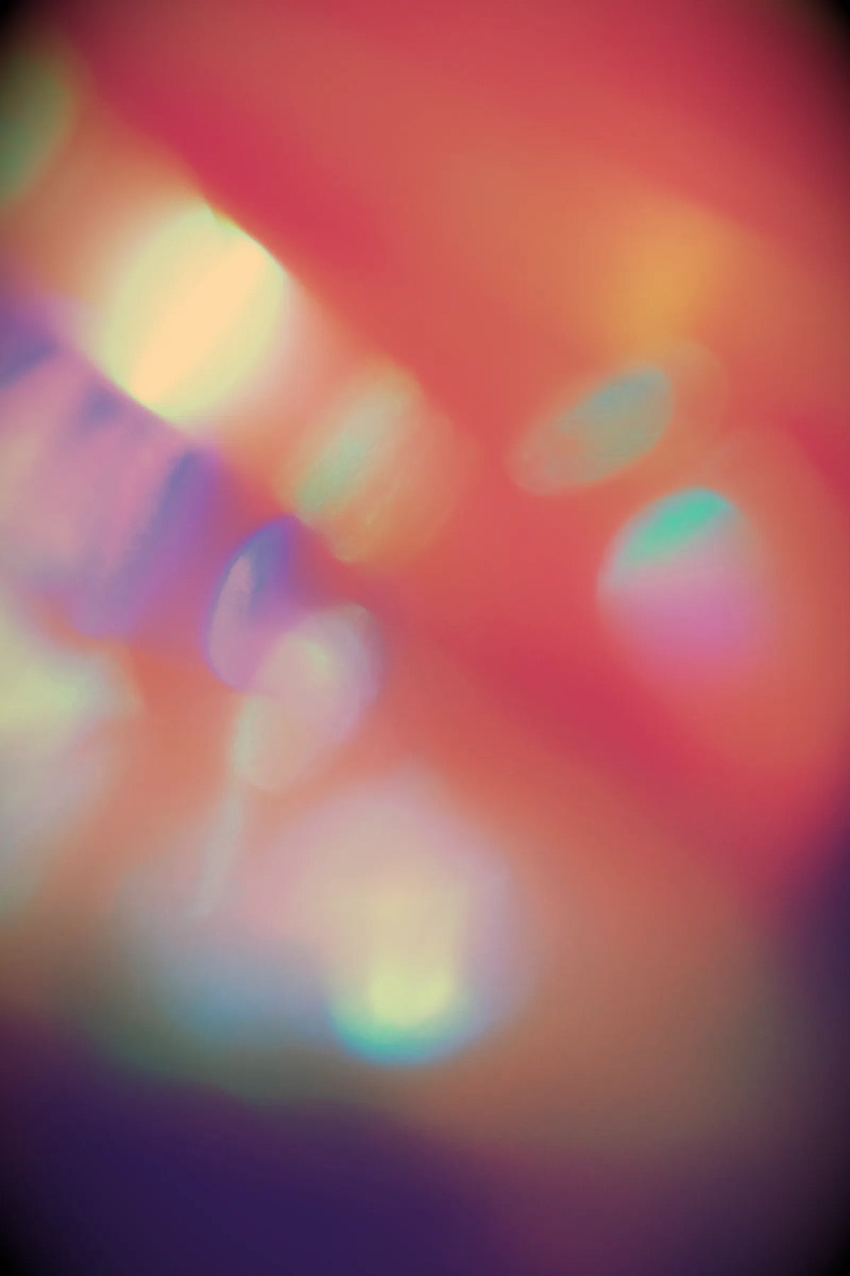 Photography 29