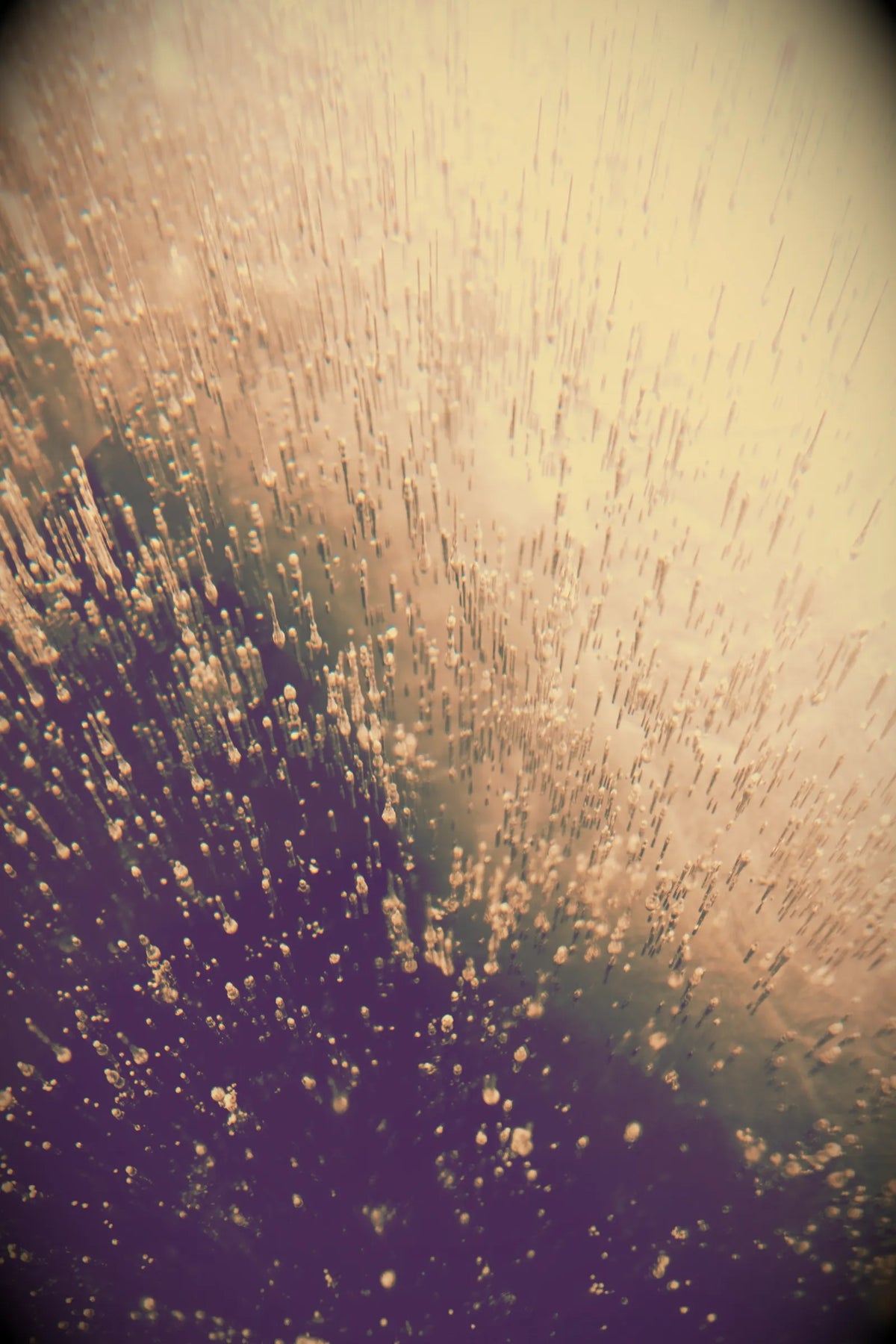 写真 30
