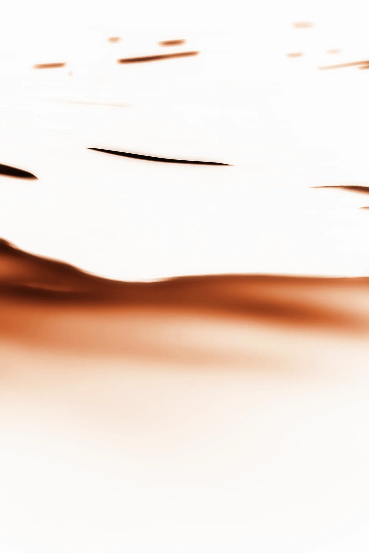 Photographie 37