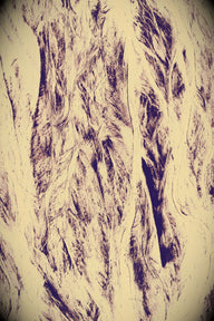 Retro 4 / A6 (105 x 148 mm / 4.1 x 5.8 in) / Sin marco