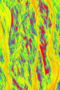 Térmico 2 / A6 (105 x 148 mm / 4.1 x 5.8 in) / Sin marco