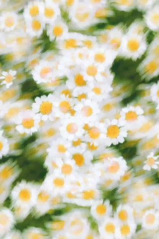 Fotografía 10