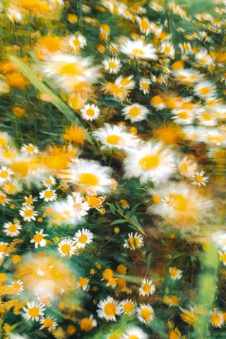Photography 13