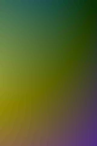Gradient 11