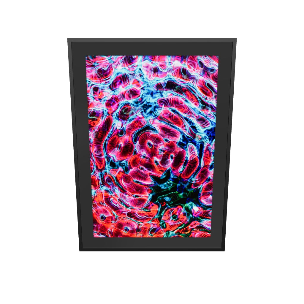 Digital 20