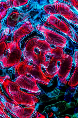 Digital 20